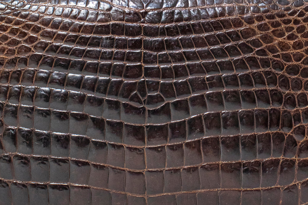 Vintage Brown Crocodile Bag